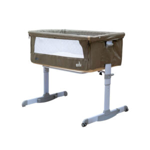 تخت و گهواره ویرا دلیجان