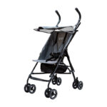 کالسکه تاینی دلیجان طوسی