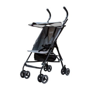 کالسکه تاینی دلیجان طوسی