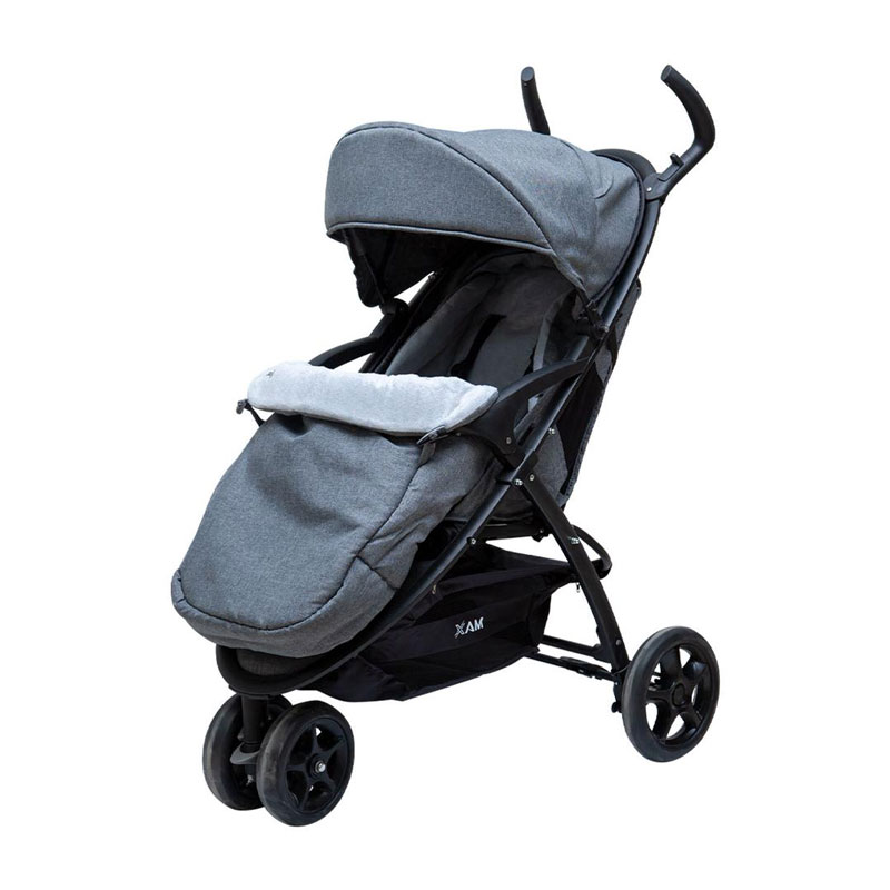 کالسکه دیباپلاس دلیجان طوسی