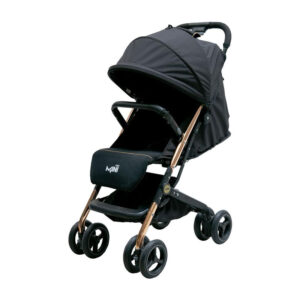 کالسکه مینی پرو دلیجان طلایی