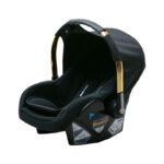 کریر هیرو پرو دلیجان